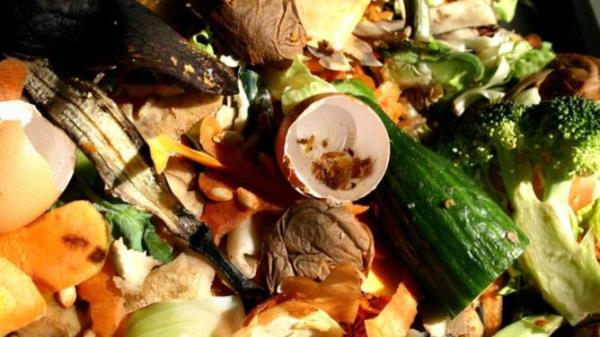 food waste